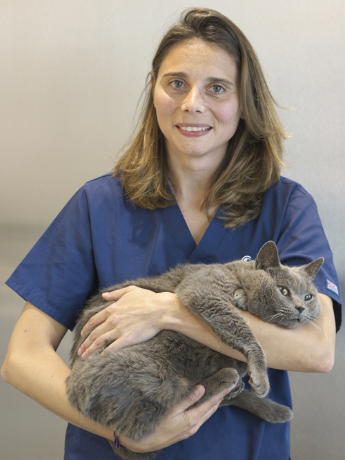Belen Veterinario Covadonga