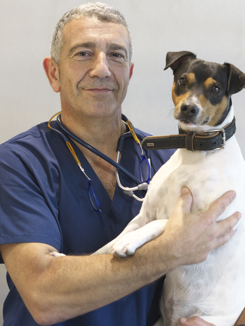 Jose Veterinario Covadonga