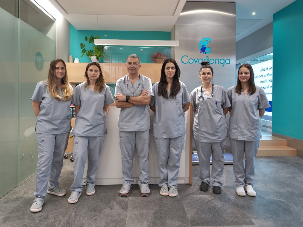 Equipo Veterinario Covadonga