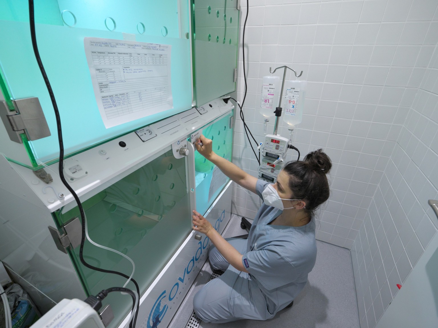 Clinica Veterinaria Covadonga