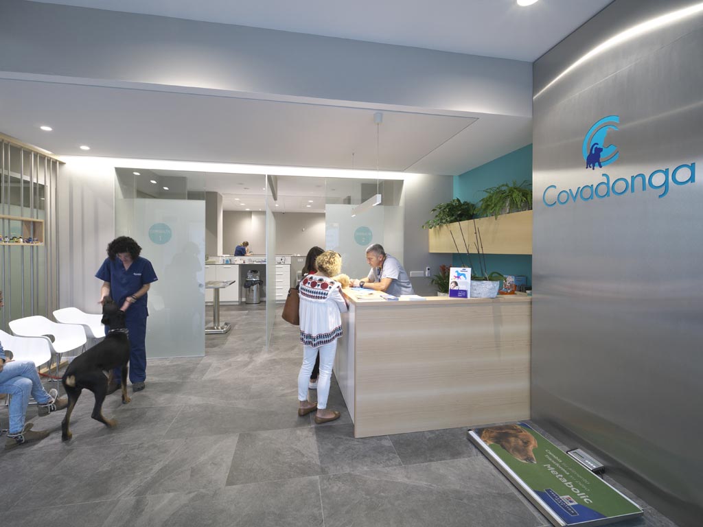 Clinica Veterinario Covadonga